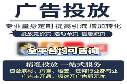 探索专业SEM托管的奥秘：从案例看效果